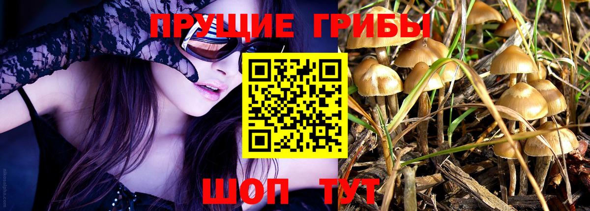 Галлюциногенные грибы Psilocybe  Вход с VPN  Изобильный 